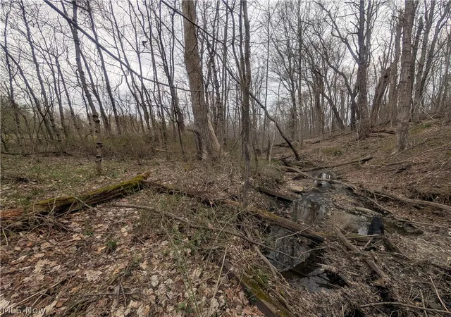 Photo 4 of Land for sale at North, Glenford, OH 43739 | MLS# 5196902 | Listing updated on 2026-06-05