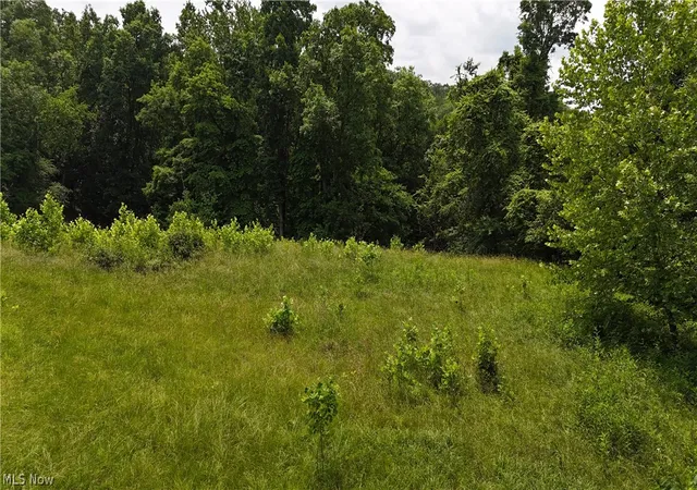 Homes for sale in Vienna, WV | 10 Bella Vista Dr, Vienna, WV 26105 | MLS# 5197492