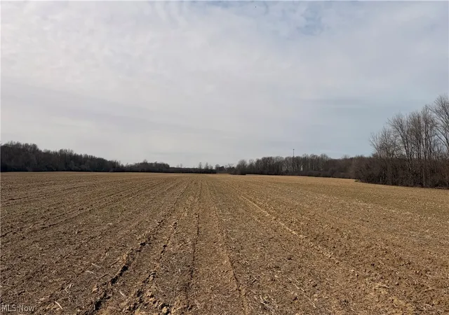 Photo 4 of Land for sale at US 20, Oberlin, OH 44074 | MLS# 5197944 | Listing updated on 2026-08-25