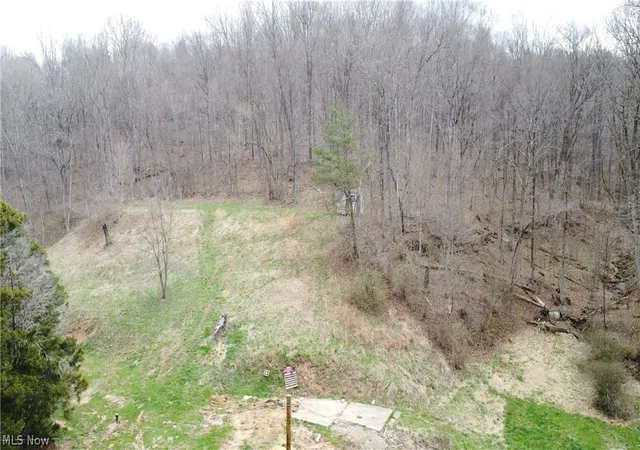 Photo 3 of Land for sale at 39460 Opossum Crk Rd, Sardis, OH 43946 | MLS# 5198053 | Listing updated on 2026-08-26