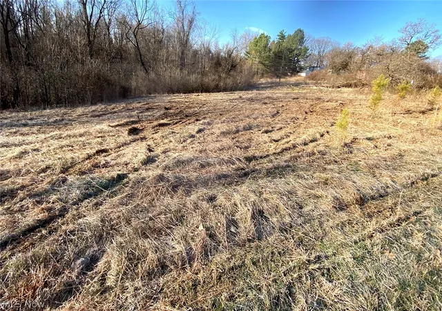 3rd image of 0 Twp Rd 318 Rd, Dexter City, OH 45727 | MLS# 5198237