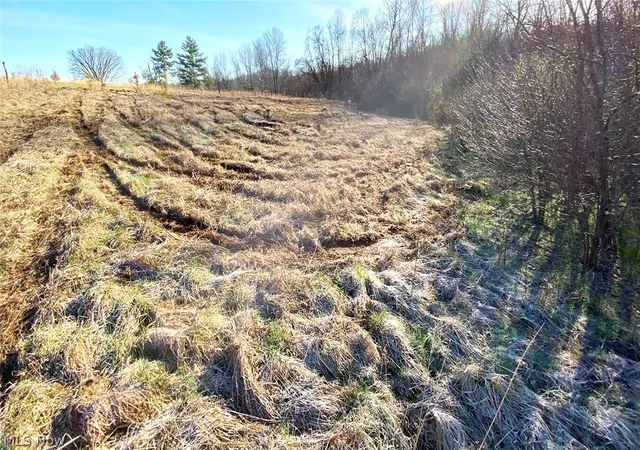 4th image of 0 Twp Rd 318 Rd, Dexter City, OH 45727 | MLS# 5198237