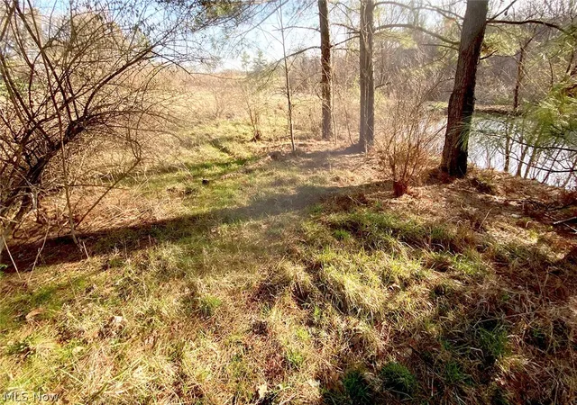 5th image of 0 Twp Rd 318 Rd, Dexter City, OH 45727 | MLS# 5198237