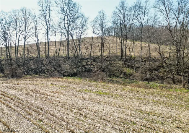 4th image of Endlich Rd, Stone Creek, OH 43840 | MLS# 5197618