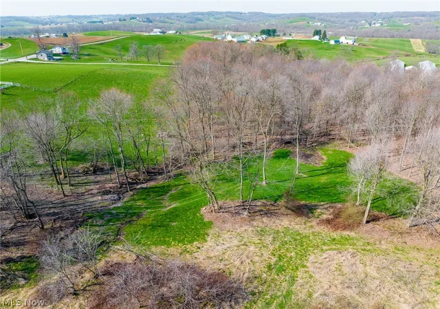 Homes for sale in Dundee, OH | Nebraska Rd, Dundee, OH 44624 | MLS# 5198881