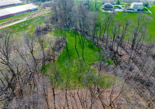 Homes for sale in Dundee, OH | Nebraska Rd, Dundee, OH 44624 | MLS# 5198881