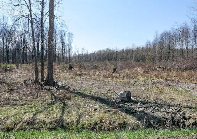 3rd image of Vl 09-101705 Warren Meadville, Kinsman, OH 44428 | MLS# 5199057