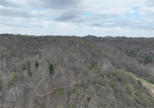 Photo 3 of Land for sale at 0 Sugar Crk Rd, St Marys, WV 26170 | MLS# 5199135 | Listing updated on 2026-08-03