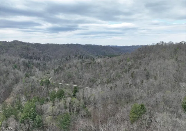Photo 4 of Land for sale at 0 Sugar Crk Rd, St Marys, WV 26170 | MLS# 5199135 | Listing updated on 2026-08-03