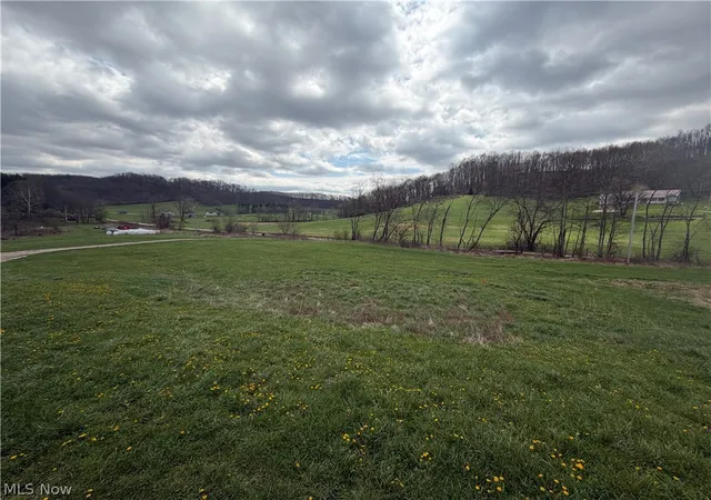 Homes for sale in Newcomerstown, OH | 6995 Bill Johns Rd, Newcomerstown, OH 43832 | MLS# 5199187