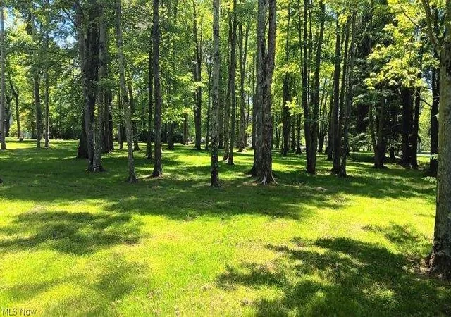 3rd image of 170 West Main St/ Us Rt 322, Orwell, OH 44076 | MLS# 5199498