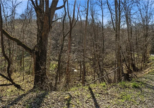 Photo 50 of Sale Pending at 65892 Endley Rd, Cambridge, OH 43725 | MLS# 5199958 | Listing updated on 2026-10-07