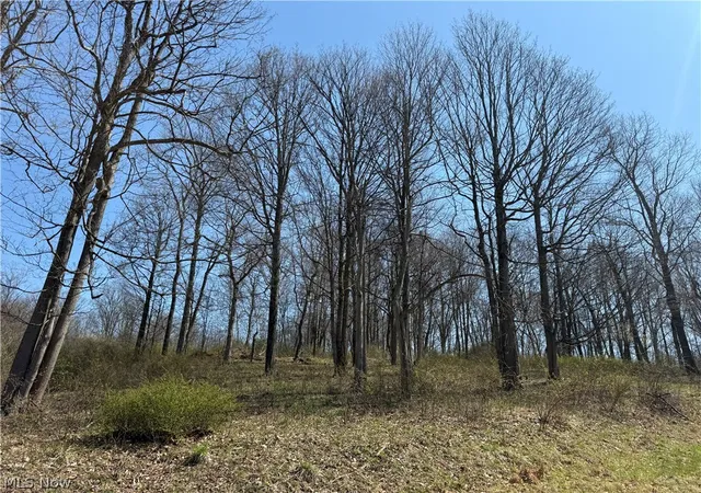 4th image of 0 Kragel Rd, Richmond, OH 43944 | MLS# 5194261