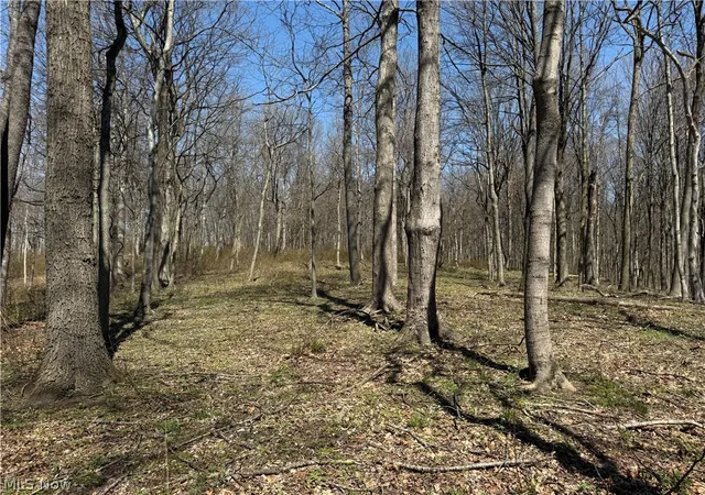 5th image of 0 Kragel Rd, Richmond, OH 43944 | MLS# 5194261