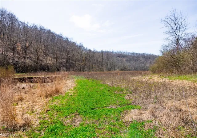 Homes for sale in Lowell, OH | East Branch Rd, Lowell, OH 45744 | MLS# 5199023