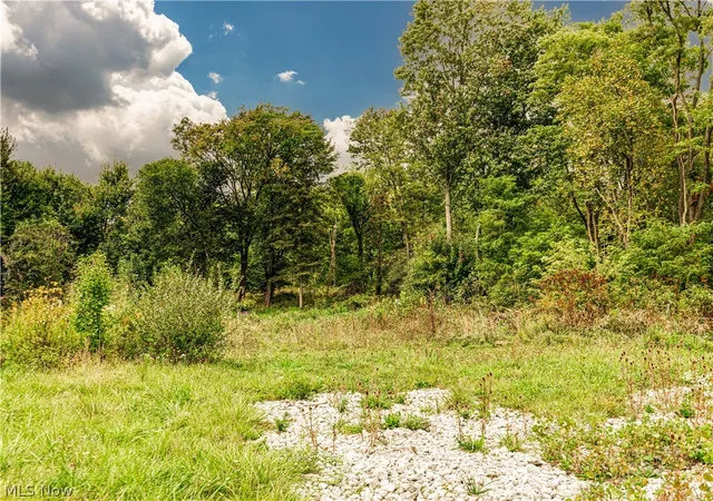 3rd image of V/L Diplomat Dr, Stow, OH 44224 | MLS# 5200210