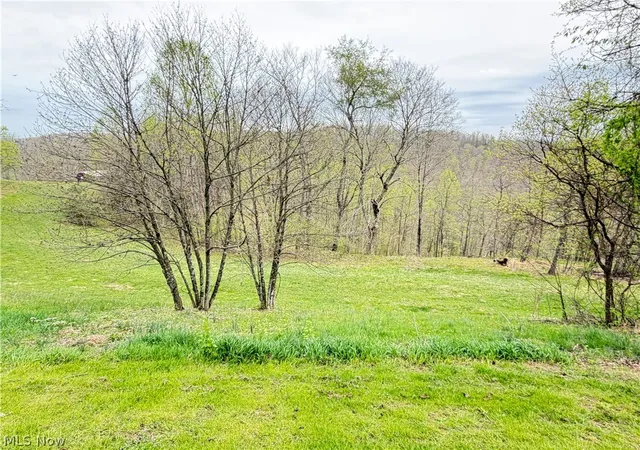 Photo 4 of Single family home for sale at 441 Tower Rd, Elizabeth, WV 26143 | MLS# 5201157 | Listing updated on 2026-07-18