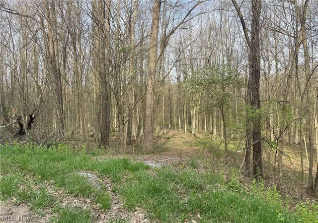 2nd image of 2073 Lilly Rd Nw, Minerva, OH 44657 | MLS# 5201391