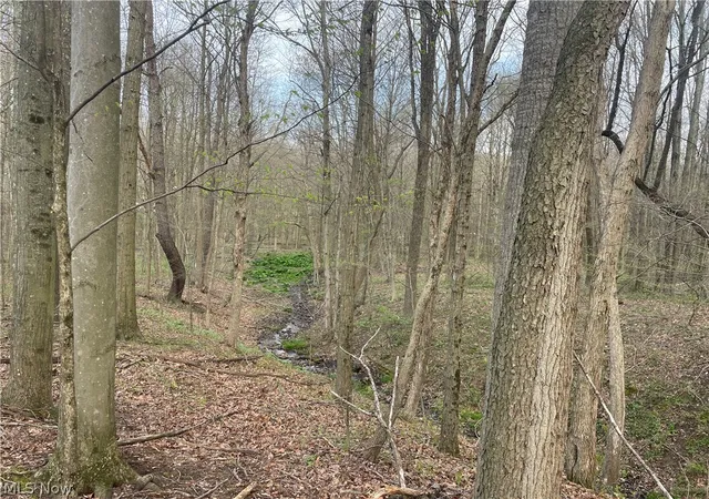 3rd image of 2073 Lilly Rd Nw, Minerva, OH 44657 | MLS# 5201391