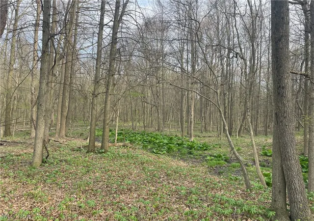 4th image of 2073 Lilly Rd Nw, Minerva, OH 44657 | MLS# 5201391