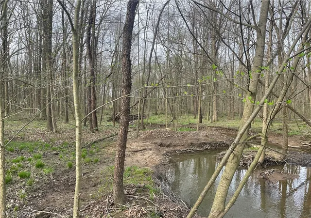 6th image of 2073 Lilly Rd Nw, Minerva, OH 44657 | MLS# 5201391