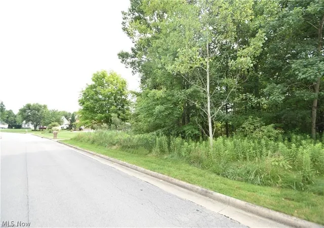 4th image of Saddlebrook Lot 123 Dr, Youngstown, OH 44512 | MLS# 5201636