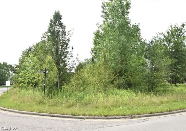 Photo 2 of Sale Pending at Saddlebrook Lot 156 Dr, Youngstown, OH 44512 | MLS# 5201639 | Listing updated on 2026-08-17