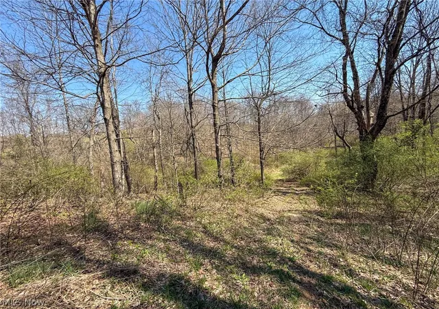 2nd image of Claysville Rd, Cumberland, OH 43732 | MLS# 5201790