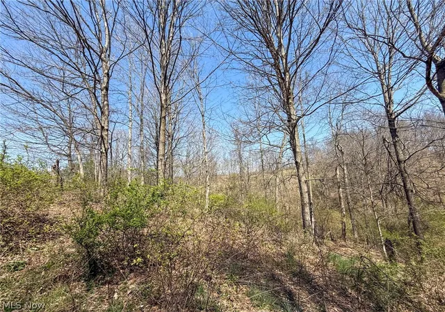 3rd image of Claysville Rd, Cumberland, OH 43732 | MLS# 5201790