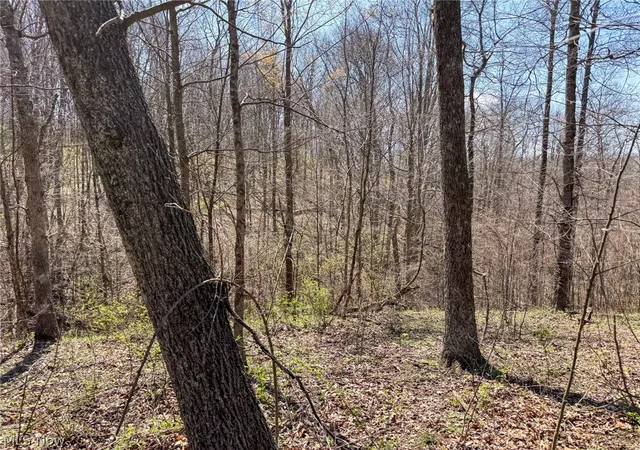 47th image of Claysville Rd, Cumberland, OH 43732 | MLS# 5201790