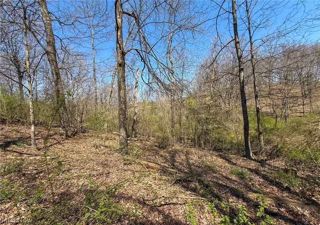 4th image of Claysville Rd, Cumberland, OH 43732 | MLS# 5201790