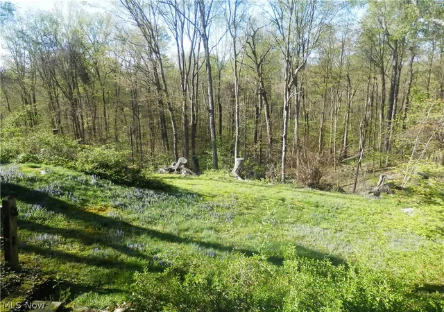 39th image of 10200 Mayfield Rd, Chesterland, OH 44026 | MLS# 5201698