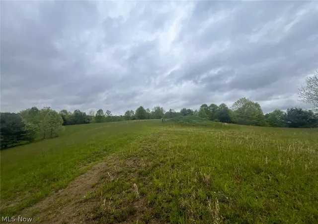 1st image of 87085 Crall Rd, Scio, OH 43988 | MLS# 5201991