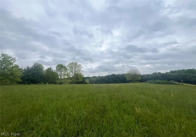 2nd image of 87085 Crall Rd, Scio, OH 43988 | MLS# 5201991