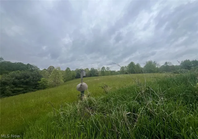 3rd image of 87085 Crall Rd, Scio, OH 43988 | MLS# 5201991