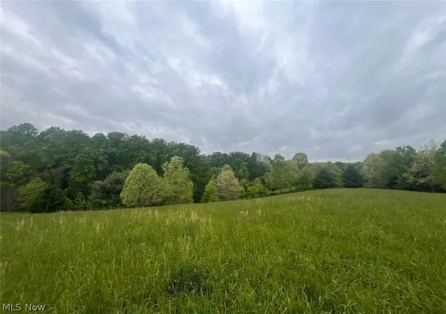 4th image of 87085 Crall Rd, Scio, OH 43988 | MLS# 5201991