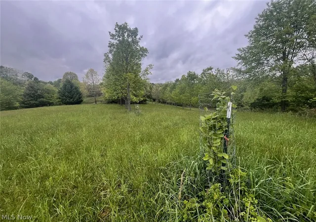 5th image of 87085 Crall Rd, Scio, OH 43988 | MLS# 5201991