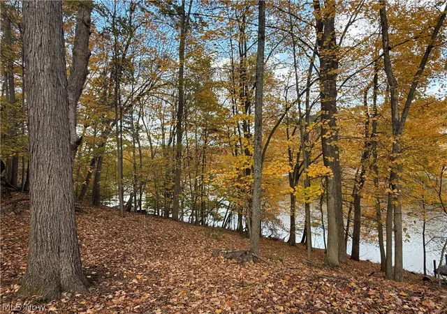 Homes for sale in Millersburg, OH | 1524-1527 E Buckhorn Dr, Millersburg, OH 44654 | MLS# 5201972