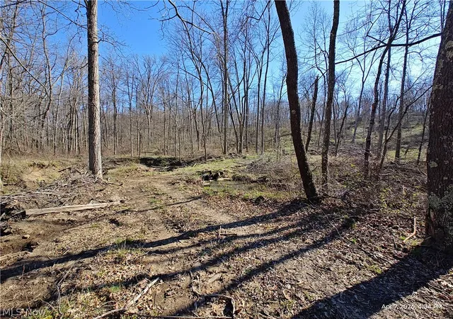 3rd image of 1852 Laramie Rd, Carrollton, OH 44615 | MLS# 5202507