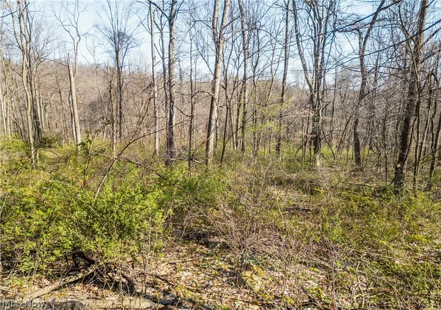 Homes for sale in Millersburg, OH | 6706 Township Road 323 Road, Millersburg, OH 44633 | MLS# 5203770