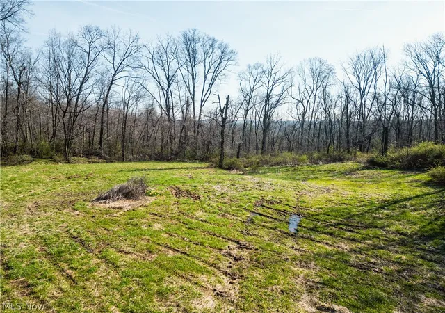 Homes for sale in Millersburg, OH | 6706 Township Road 323 Road, Millersburg, OH 44633 | MLS# 5203770
