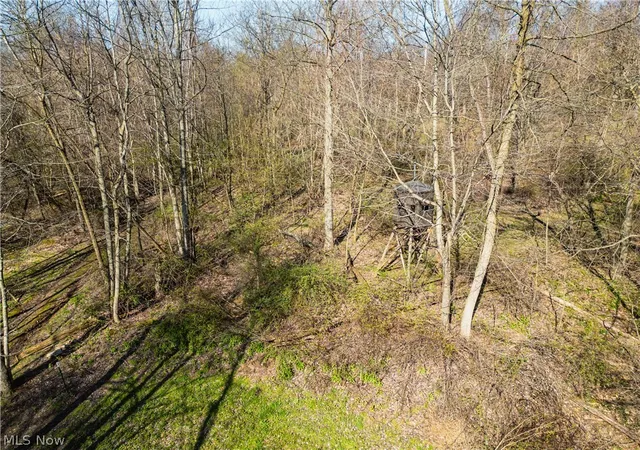 Homes for sale in Millersburg, OH | 6706 Township Road 323 Road, Millersburg, OH 44633 | MLS# 5203770