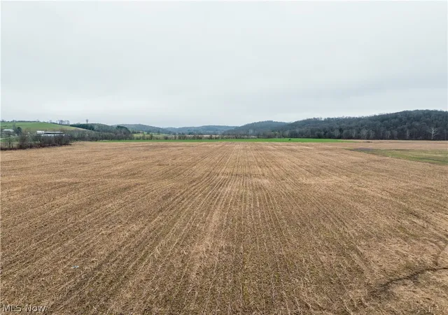 Homes for sale in Frazeysburg, OH | Licking Valley Rd, Frazeysburg, OH 43830 | MLS# 5203858