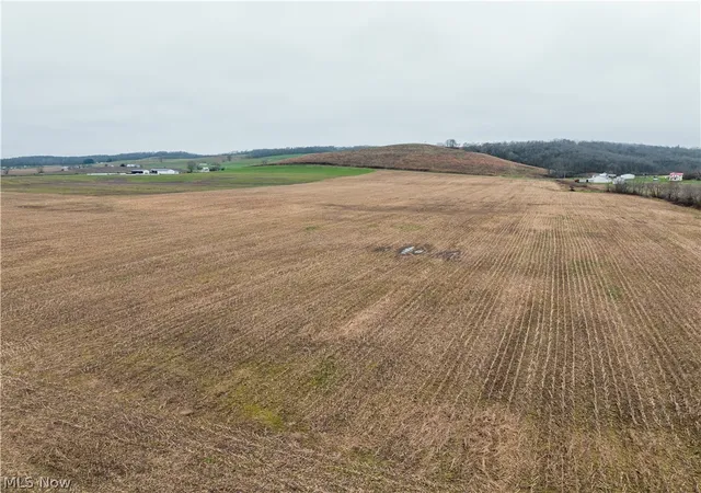 Homes for sale in Frazeysburg, OH | Licking Valley Rd, Frazeysburg, OH 43830 | MLS# 5203858