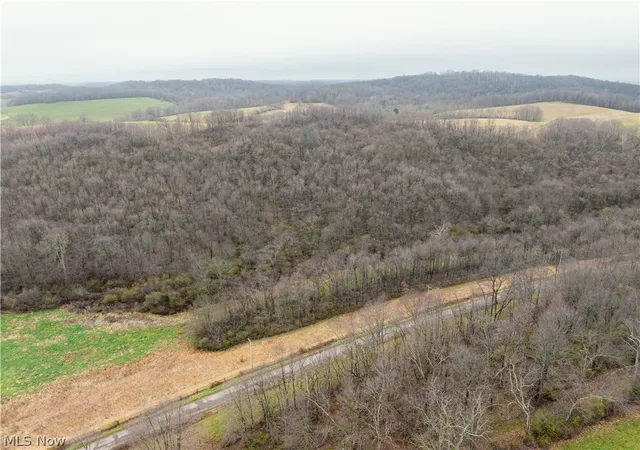 Homes for sale in Frazeysburg, OH | Buck Hill Rd, Frazeysburg, OH 43822 | MLS# 5203926