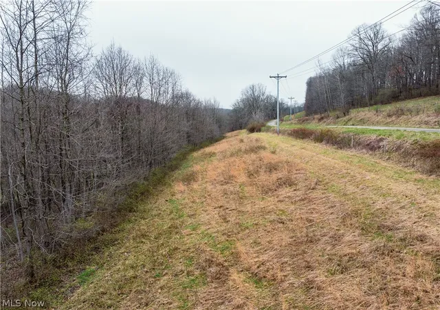 Homes for sale in Frazeysburg, OH | Buck Hill Rd, Frazeysburg, OH 43822 | MLS# 5203926