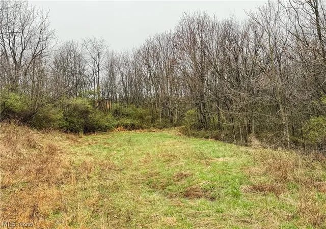 Homes for sale in Frazeysburg, OH | Buck Hill Rd, Frazeysburg, OH 43822 | MLS# 5203926