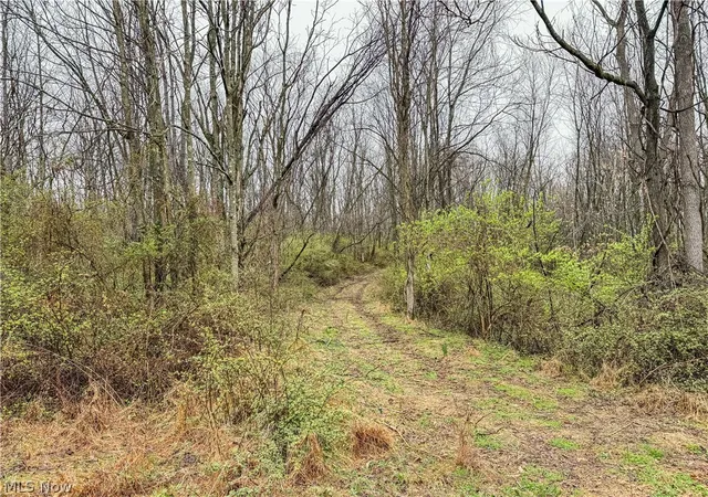 Homes for sale in Frazeysburg, OH | Buck Hill Rd, Frazeysburg, OH 43822 | MLS# 5203926