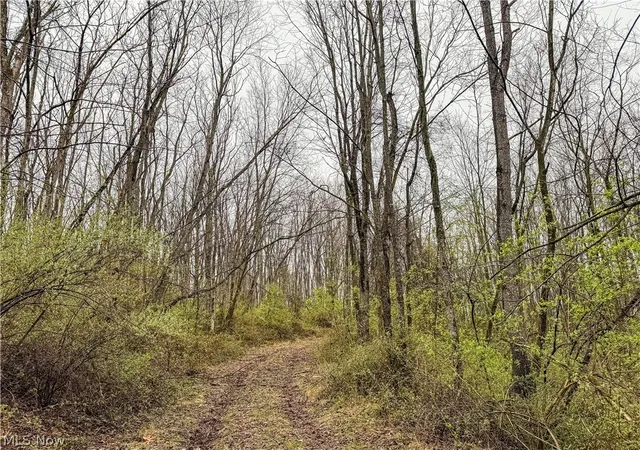 Homes for sale in Frazeysburg, OH | Buck Hill Rd, Frazeysburg, OH 43822 | MLS# 5203926