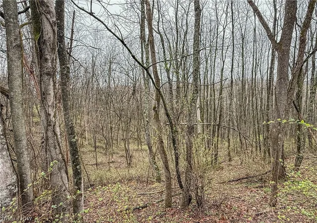 Homes for sale in Frazeysburg, OH | Buck Hill Rd, Frazeysburg, OH 43822 | MLS# 5203926